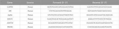 The extract of an herbal medicine Chebulae fructus inhibits hepatocellular carcinoma by suppressing the Apelin/APJ system